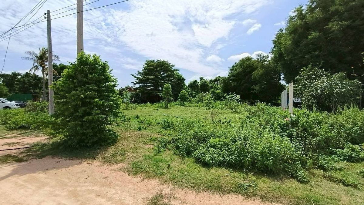 picture Lands for sale in Hua-hin 2 rai with a house - 10/17