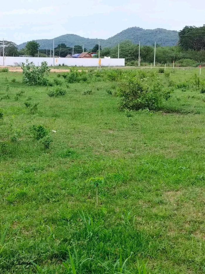 picture Lands for sale in Hua-hin 4,252 baht per square wa - 4/4