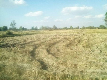 picture FOR SALE  LAND PROPERTY  7500000 BAHT. - 6/8