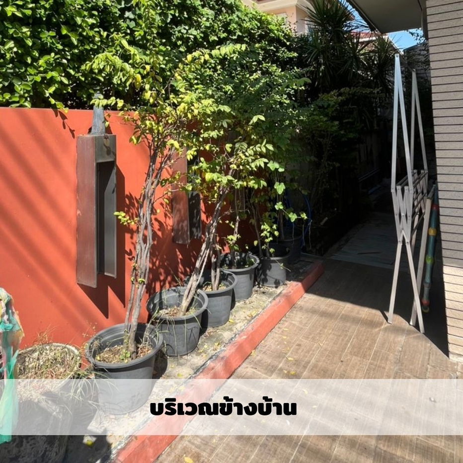 รูป ขายบ้านเดี่ยวหมู่บ้านแกรนด์คาแนลประชาชื่น 4ห้องนอน 4 ห้องน้ำ ทำเลดีมาก ถูกสุดในย่านนี้ - รูปที่ 28/29