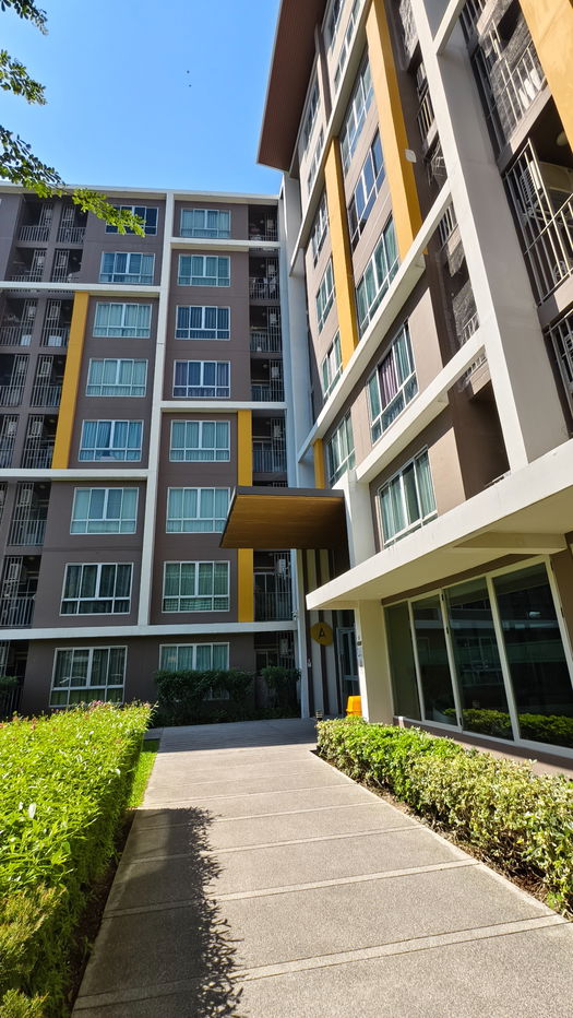 picture Sales!!! Dcondo Campus Resort Bangsean  - 11/18