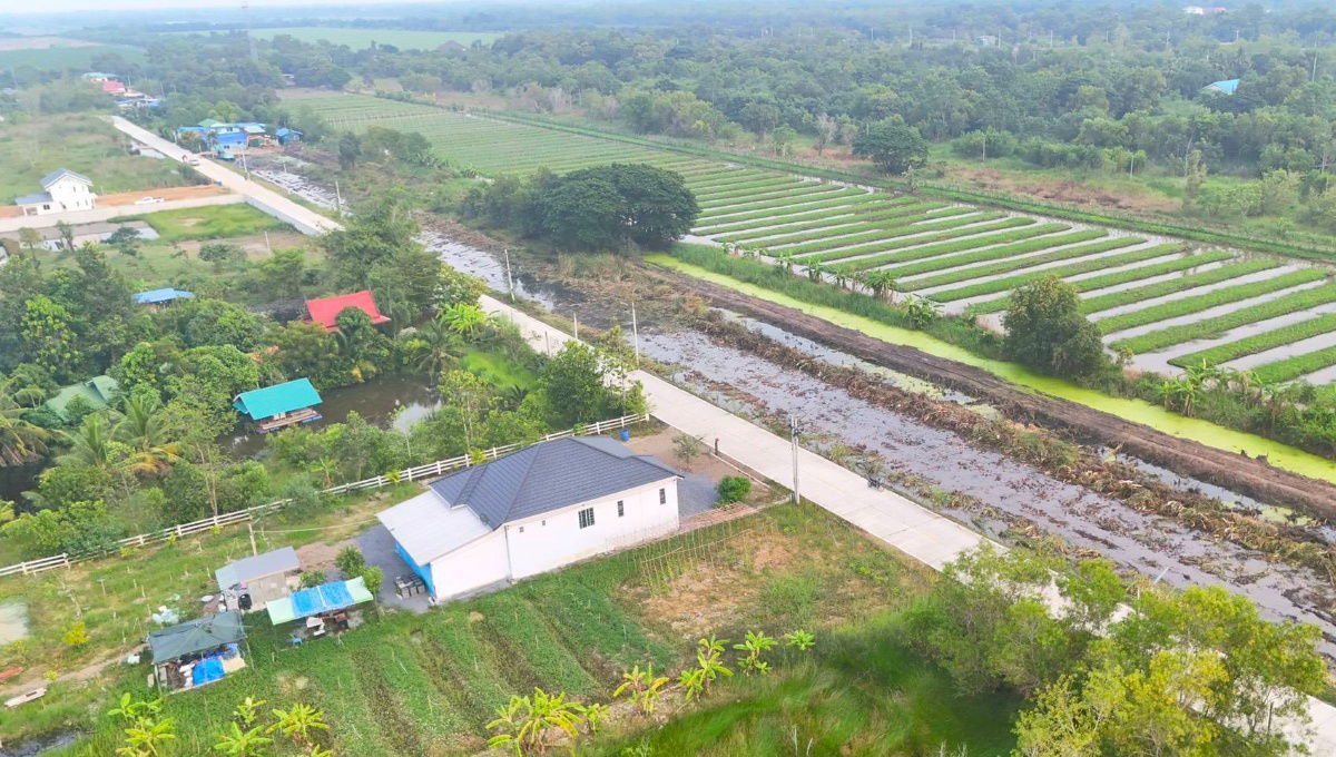 picture Prime location in  Excellent community environment,perfect for building a house.8-meter concrete road on every plot.3phase 100sq.wah390,000baht - 8/22