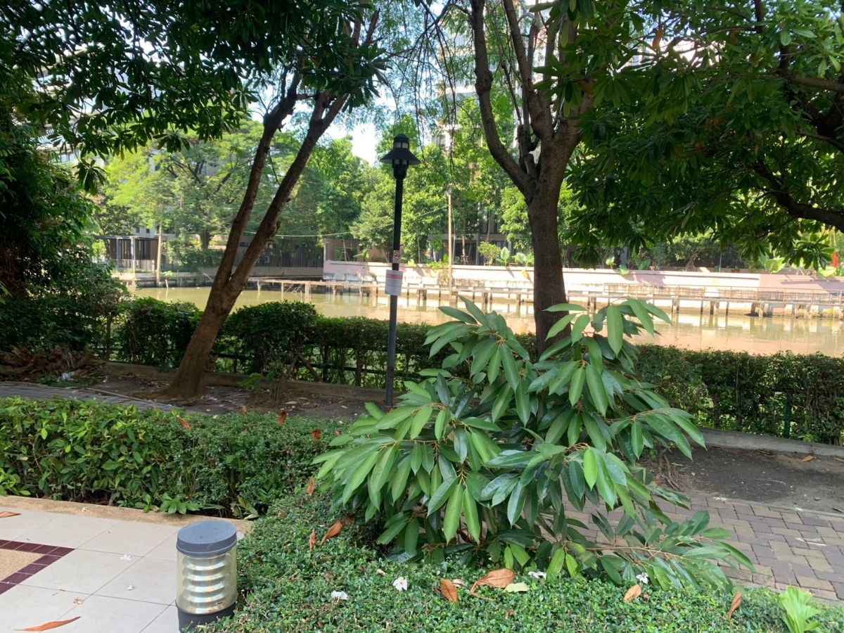 picture Condo for Rent – Lumpini Ville Sukhumvit 77 Building 2, 11th Floor | 2 Bedrooms, 2 Bathrooms | 65.5 sq.m. Near BTS On Nut | City View Pet allowed. - 27/30