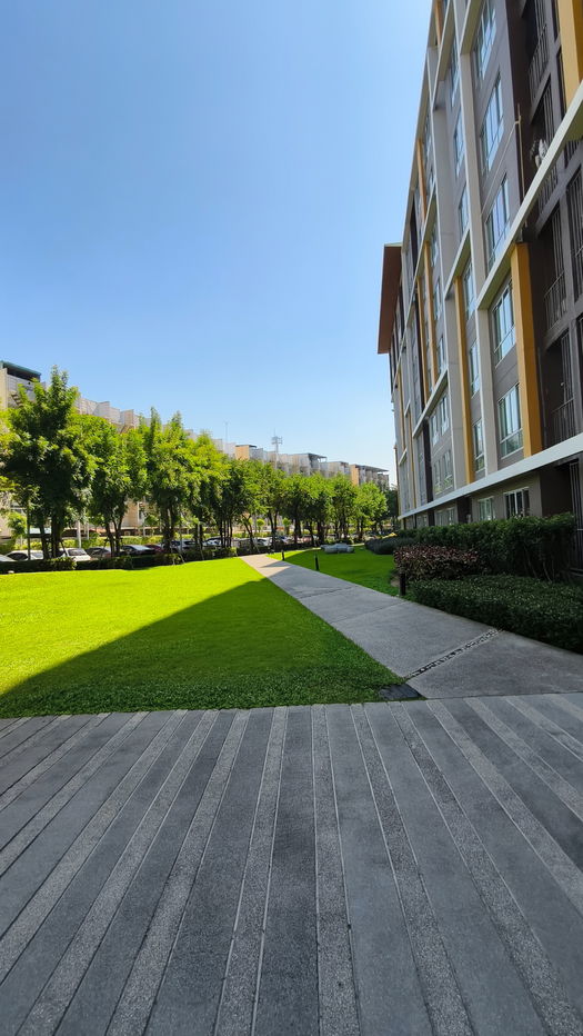 picture Sales!!! Dcondo Campus Resort Bangsean  - 12/18