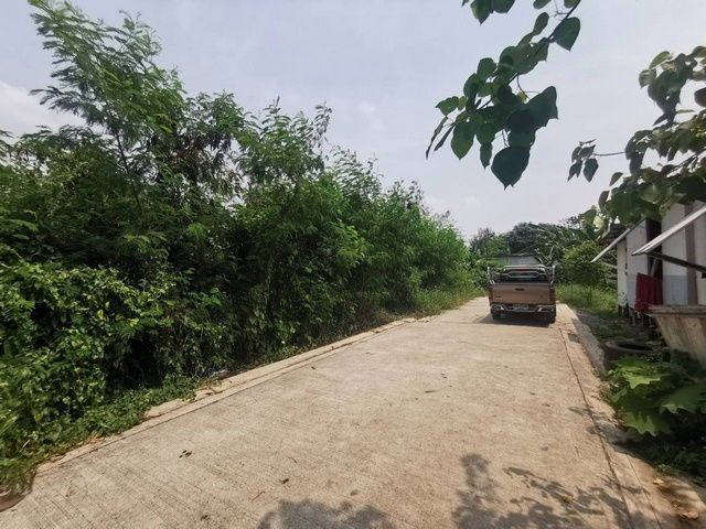 picture FOR SALE LAND PROPERTY 2900000 BAHT. - 4/8