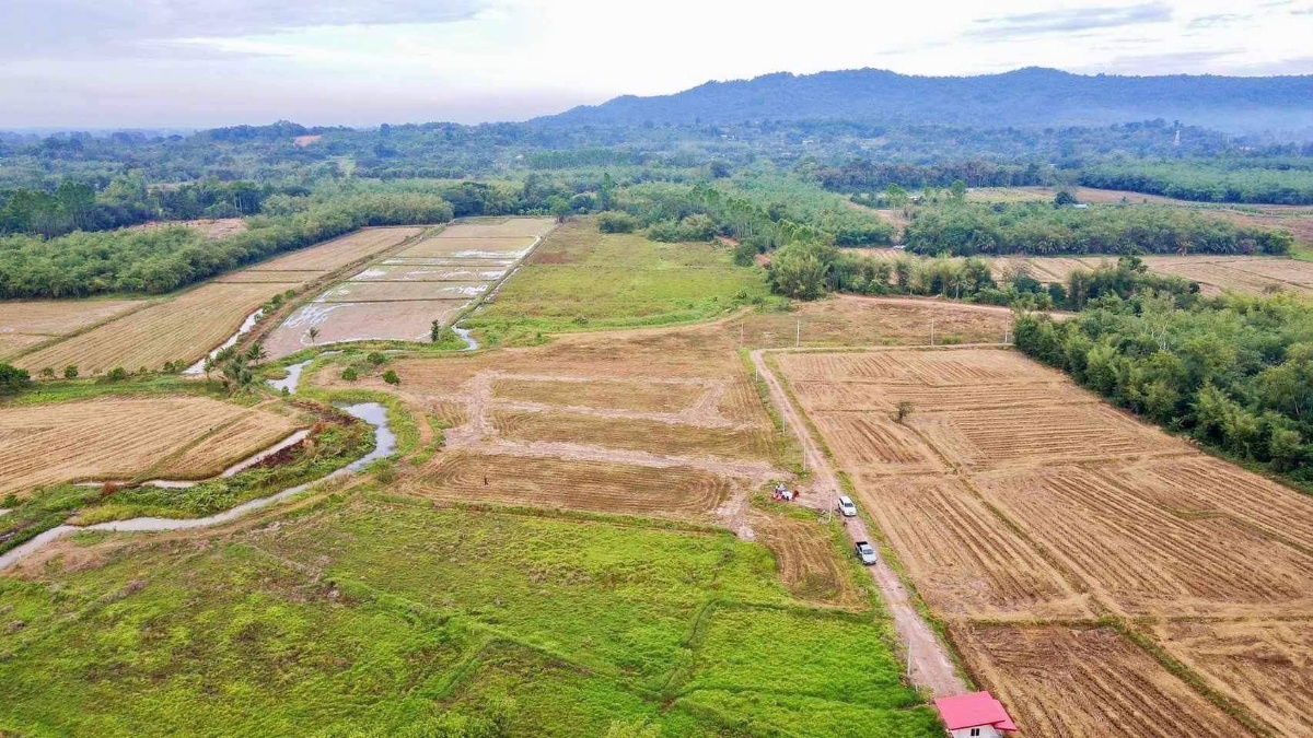 รูป วิวเขาใหญ่ลำธารนาหินลาดปากพลีนครนายก15-1-84ไร่ละ900000ยกแปลง8.5แสนน้ำไฟพร้อมถนน6มใกล้ด่าน5กมน้ำตกวังม่วง6กมไร่วังบอน2.6กมโรงพัก4กมโฉนดครุฑแดง - รูปที่ 10/18