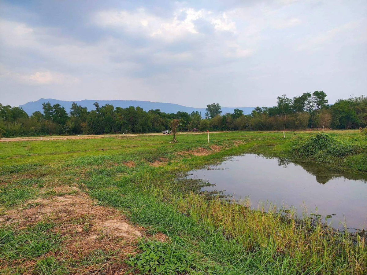 รูป วิวเขาใหญ่ลำธารนาหินลาดปากพลีนครนายก15-1-84ไร่ละ900000ยกแปลง8.5แสนน้ำไฟพร้อมถนน6มใกล้ด่าน5กมน้ำตกวังม่วง6กมไร่วังบอน2.6กมโรงพัก4กมโฉนดครุฑแดง - รูปที่ 11/18