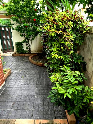 เช่าบ้านเดี่ยว เขตบางนา : บ้านเดี่ยวให้เช่า ลาซาล สุขุมวิท 105 ใกล้โรงเรียนบางกอกพัฒนา 