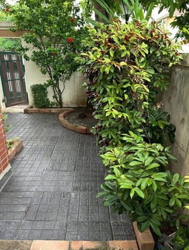 Single house for rent in Lasalle sukhumvit 105 