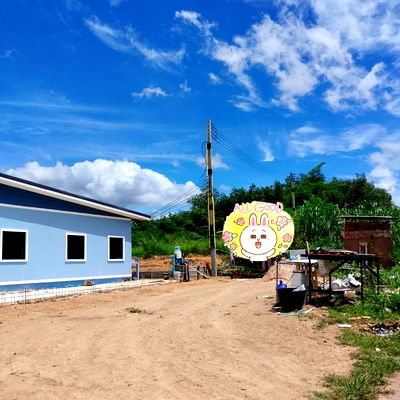 เช่าที่ดิน ระยอง : ให้เช่าที่ดิน 2งาน นิคมพัฒนา ซอย1 สาย11 หน้ากว้าง 20เมตร ติดถนน มีไฟฟ้า