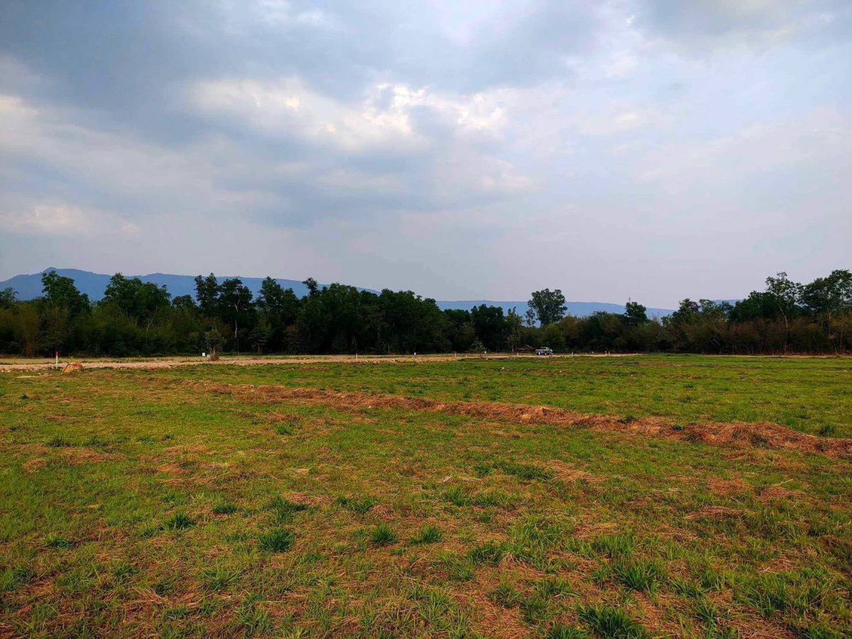 รูป วิวเขาใหญ่ลำธารนาหินลาดปากพลีนครนายก15-1-84ไร่ละ900000ยกแปลง8.5แสนน้ำไฟพร้อมถนน6มใกล้ด่าน5กมน้ำตกวังม่วง6กมไร่วังบอน2.6กมโรงพัก4กมโฉนดครุฑแดง - รูปที่ 14/18