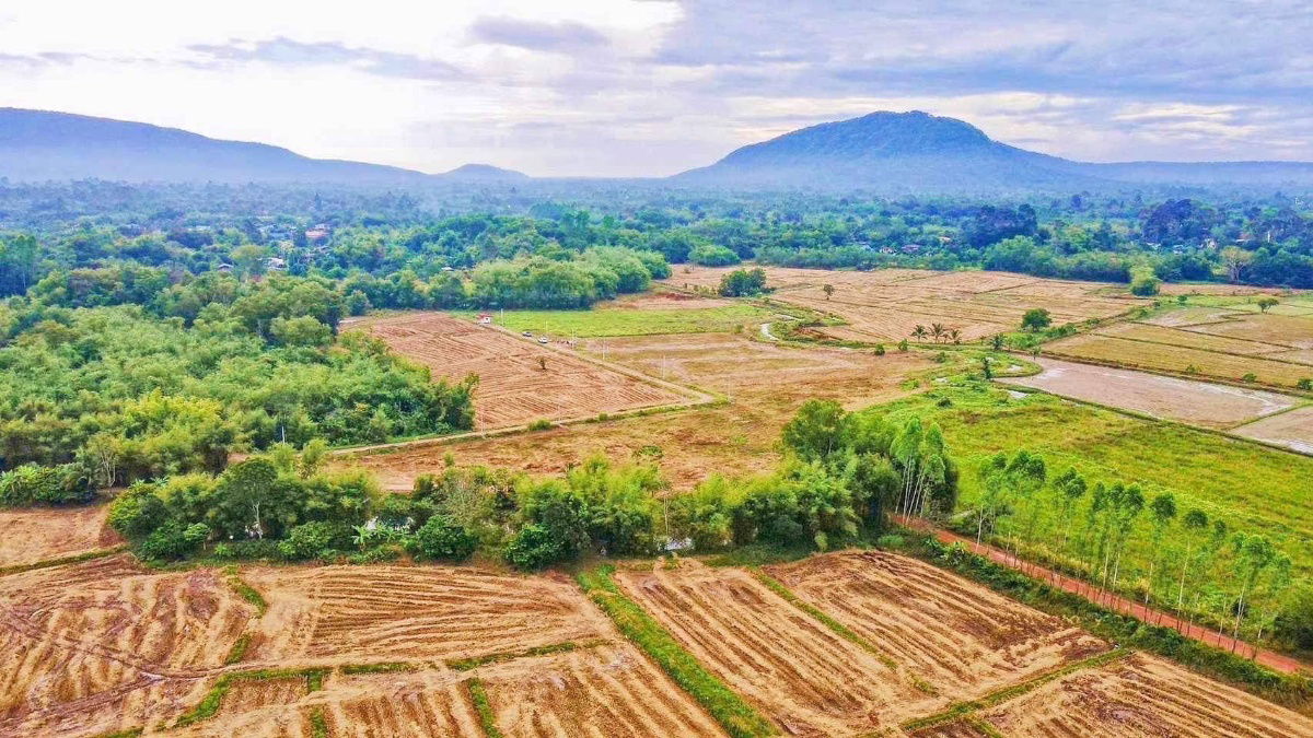 รูป วิวเขาใหญ่ลำธารนาหินลาดปากพลีนครนายก15-1-84ไร่ละ900000ยกแปลง8.5แสนน้ำไฟพร้อมถนน6มใกล้ด่าน5กมน้ำตกวังม่วง6กมไร่วังบอน2.6กมโรงพัก4กมโฉนดครุฑแดง - รูปที่ 3/18