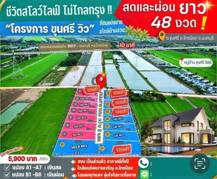 ถูกที่ีสุดขุนศรีไทรน้อยนนทบุรีลงทุนเด็งกำไร ตรว.ละ59000น้ำไฟ3เฟสใกล้บิ๊กซ9กมตลาดน้ำ6กมเซ็นทรัลเวสเกต28กมวัดคลองเจ้า8กมรพ.ไทรน้อย9กมคาเฟ่ดูบัว14กม