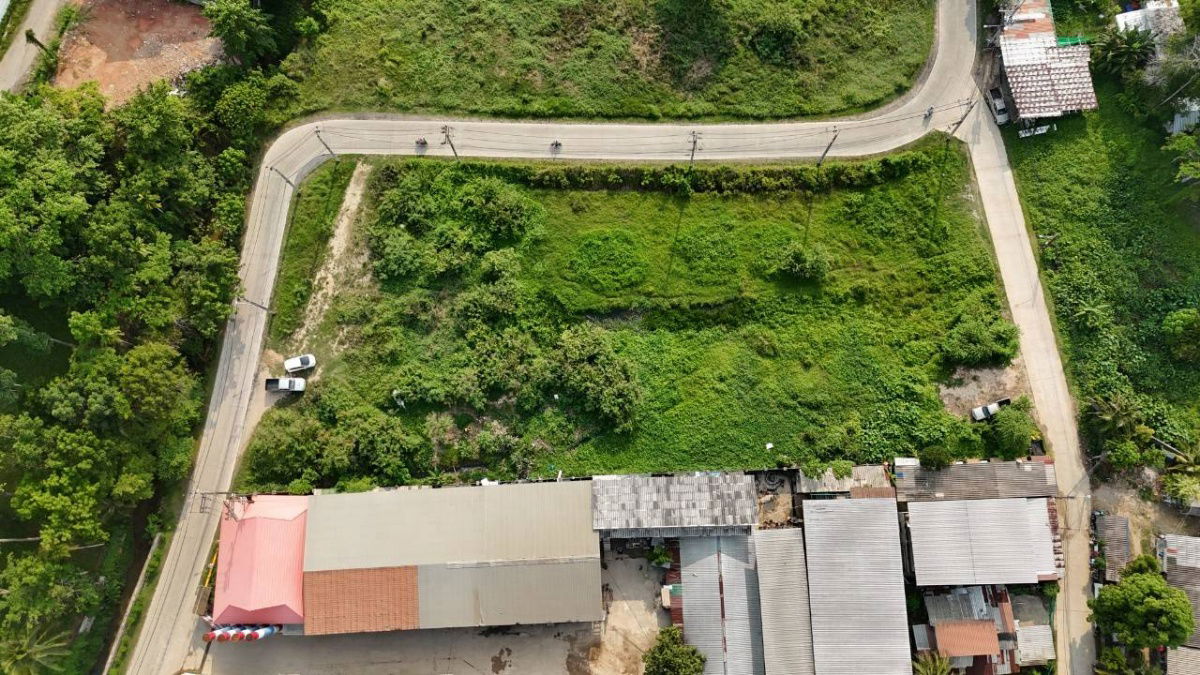 picture Prime Land for Rent in Central Thalang! - 5/8