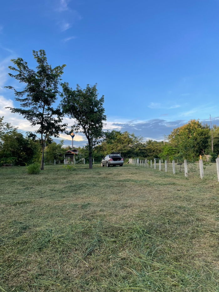 picture "Golden Opportunity to Own Land in Thoen District, Lampang!" - 9/10