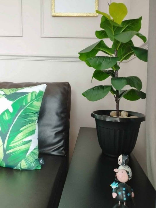 รูป ให้เช่า The Parkland เพชรเกษม (ตรงข้าม The Mall บางแค) พร้อมอยู่ NC0078 - รูปที่ 7/15