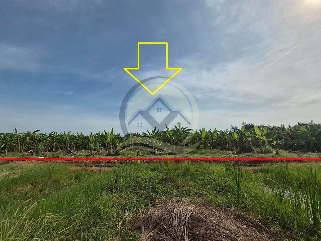 รูป ขาย ที่ดินเปล่า 1-1-33 ไร่ ( 533 ตร.ว. ) ซ.บึงบอน 11 ถ.รังสิต-นครนายก จ.ปทุมธานี - รูปที่ 15/17