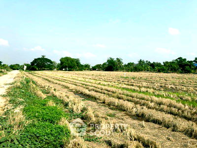 ที่ดิน บางเสาธง สมุทรปราการ : ที่ดินสำหรับปล่อยขาย 852 ตารางเมตร แถว ใน บางเสาธง (ID 1370154)