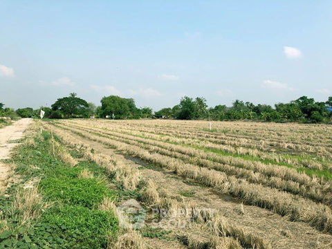 852 m² Land for Sale in Bang Sao Thong (ID 1370154)