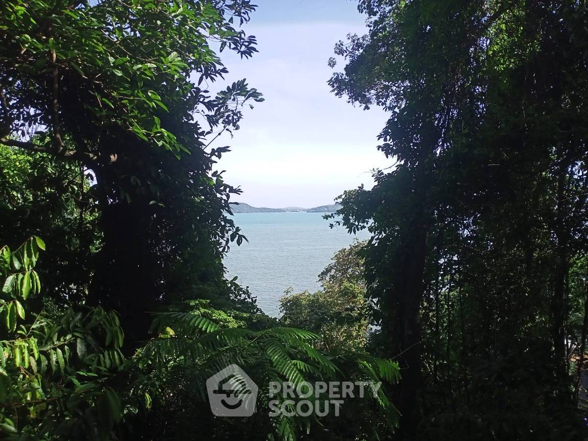 รูป ที่ดินสำหรับปล่อยขาย 3,828 ตารางเมตร แถว ใกล้ เกาะสิเหร่ (ID 1080005) - รูปที่ 2/10