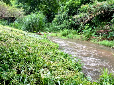 ที่ดิน ไปรษณีย์หางดง  : ที่ดินสำหรับปล่อยขาย 7,308 ตารางเมตร แถว ใน หางดง (ID 1366344)