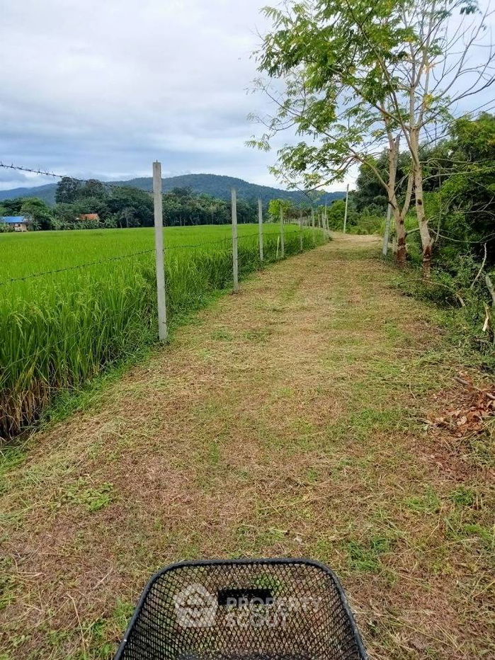 รูป บ้าน 1-ห้องนอน ใน สะลวง (ID 1438605) - รูปที่ 4/10