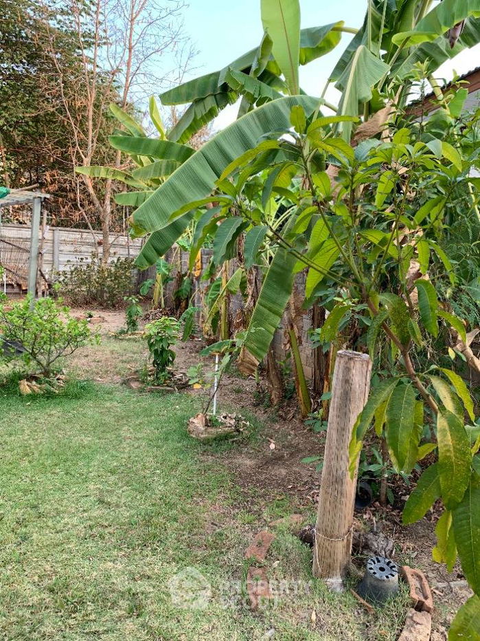 รูป บ้าน 3-ห้องนอน ใน ต้นเปา (ID 1888729) - รูปที่ 4/23