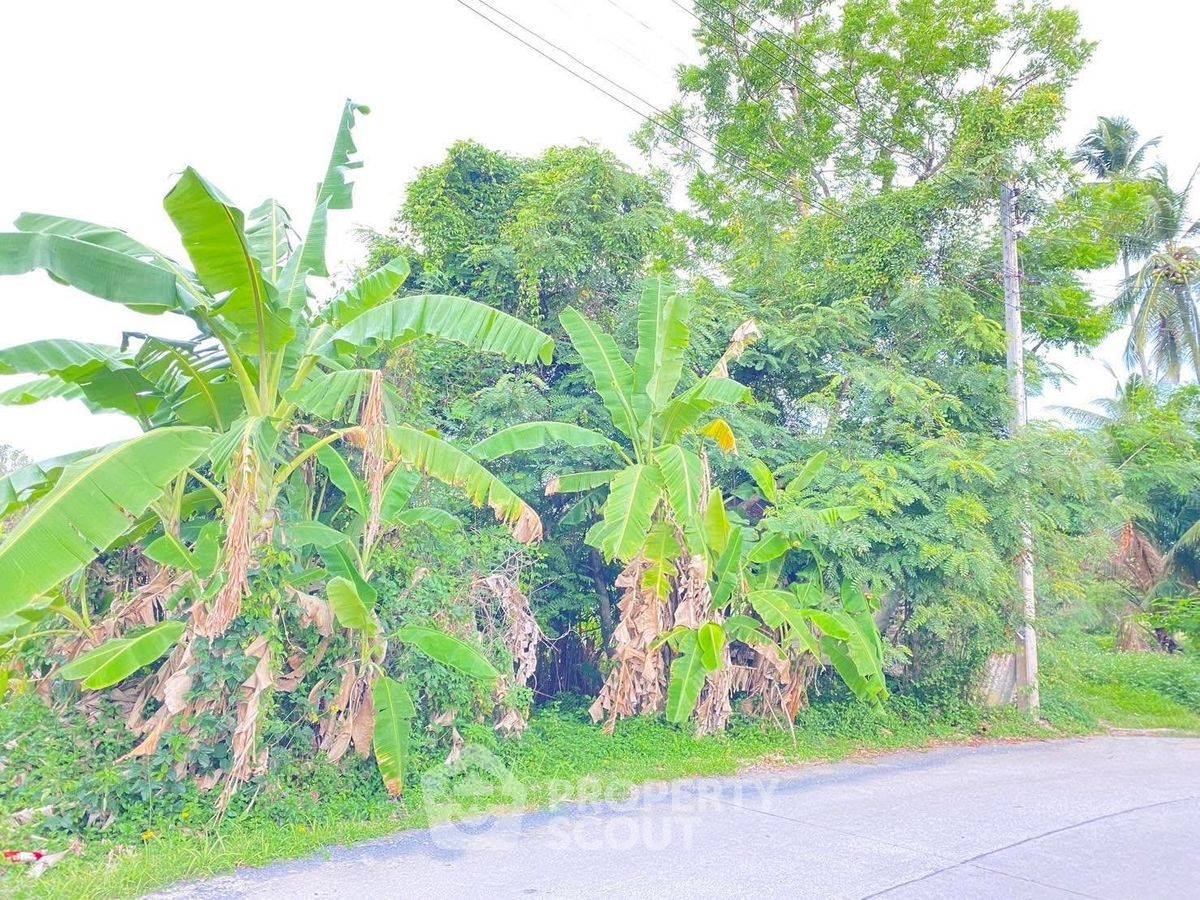 รูป ที่ดินสำหรับปล่อยขาย 5,618 ตารางเมตร แถว ใน ลิปะน้อย (ID 2084246) - รูปที่ 4/7