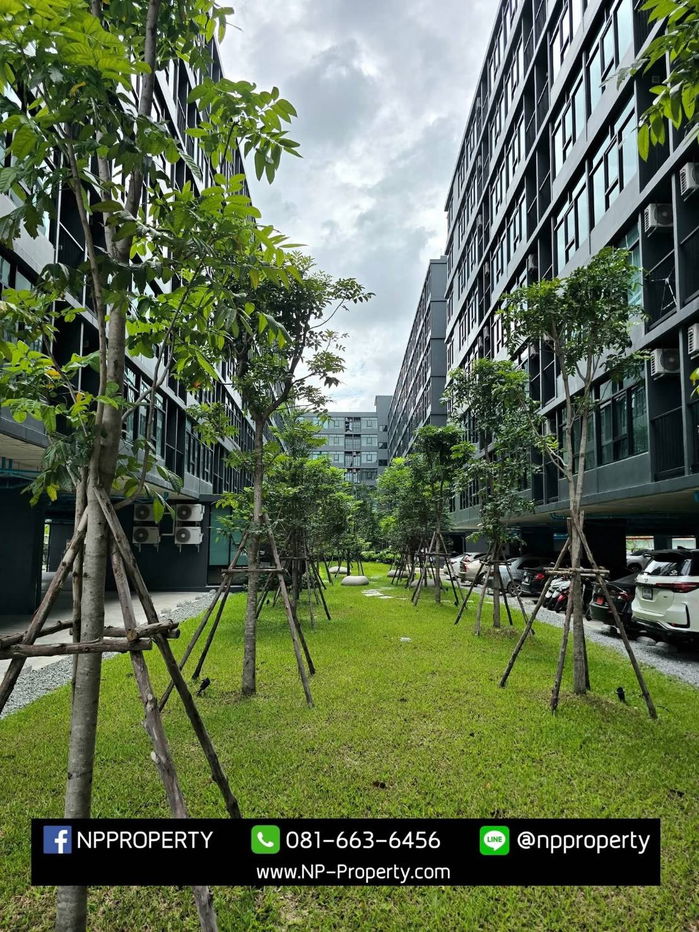 รูป 💼 คอนโดใหม่ให้เช่า ห้องสวยมาก! เพียง 6,500 บาท/เดือน 🏙️ Indeed Park Amata | ตึก C ชั้น 4 | ขนาด 24 ตร.ม. - รูปที่ 12/14