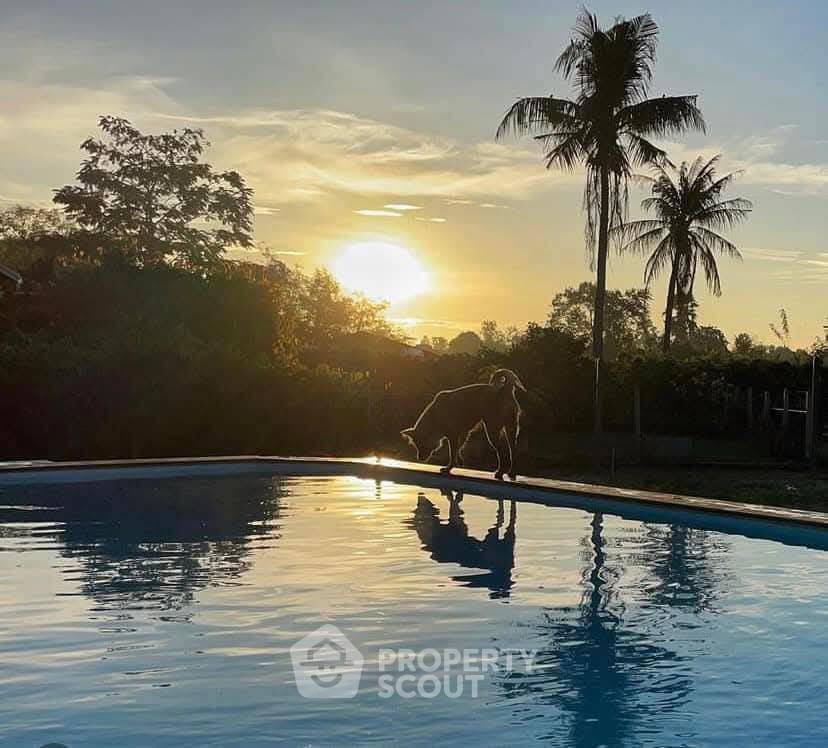 รูป บ้าน 2-ห้องนอน ใน ปราณบุรี (ID 1951968) - รูปที่ 5/23