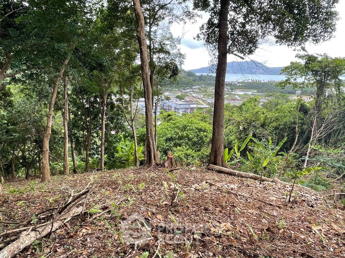 รูป ที่ดินสำหรับปล่อยขาย 16,000 ตารางเมตร แถว ใกล้ Patong (ID 1295665) - รูปที่ 7/12