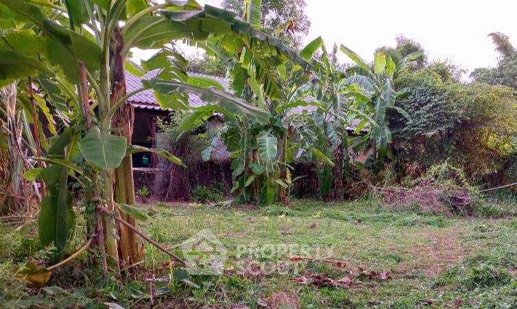 รูป บ้าน 3-ห้องนอน ใน แช่ช้าง (ID 1211864) - รูปที่ 4/9