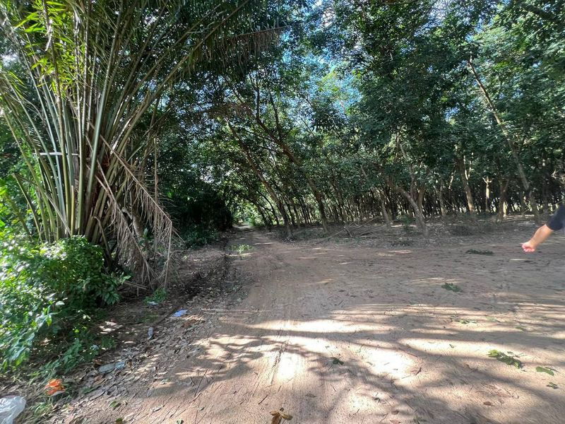 picture Land for sale for factory construction, beautiful plot, Khao Khan Song District, Sriracha, Chonburi - 7/9