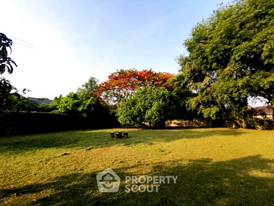 ที่ดิน มีโชค พลาซ่า : ที่ดินสำหรับปล่อยขาย 1,024 ตารางเมตร แถว ใน สันผีเสื้อ (ID 2051289)