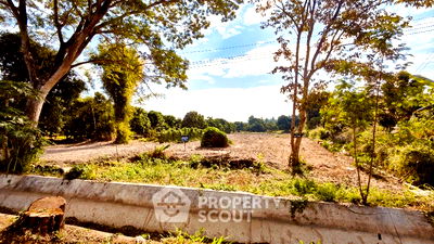 ที่ดิน ม.แม่โจ้ : ที่ดินสำหรับปล่อยขาย 2,600 ตารางเมตร แถว ใน หนองหาน (ID 1458545)