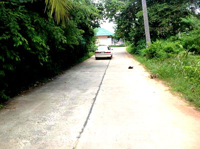 ที่ดิน เกาะสมุย สุราษฎร์ธานี : ที่ดินสำหรับปล่อยขาย 6,044 ตารางเมตร แถว ใกล้ หาดบ่อผุด (ID 2152687)