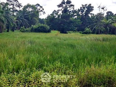 ที่ดิน สุราษฎร์ธานี : ที่ดินสำหรับปล่อยขาย 7,520 ตารางเมตร แถว ใน พุนพิน (ID 2097972)