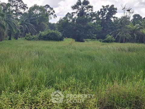 Land For Sale In Phunphin, Surat Thani (ID 2097972)