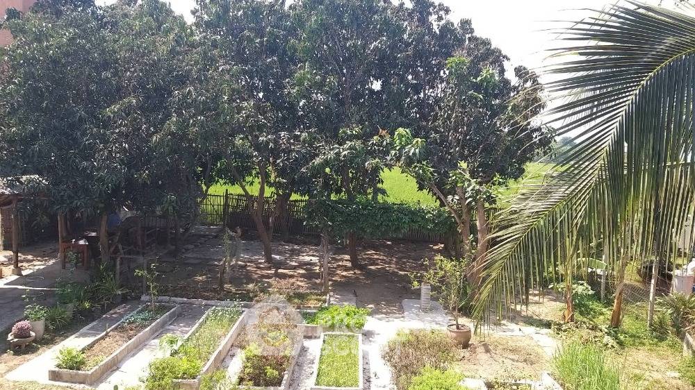 picture 2-BR House in Pa Daet (ID 1302279) - 10/15