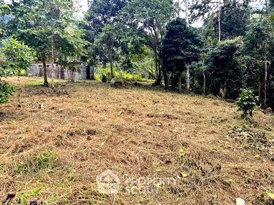 ที่ดิน ดอยสะเก็ด เชียงใหม่ : ที่ดินสำหรับปล่อยขาย 1,972 ตารางเมตร แถว ใน เชิงดอย (ID 2093387)