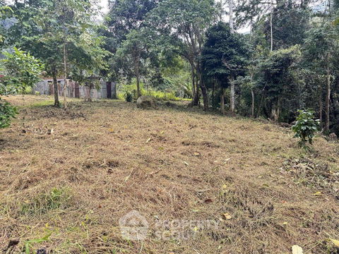 ที่ดินสำหรับปล่อยขาย 1,972 ตารางเมตร แถว ใน เชิงดอย (ID 2093387)