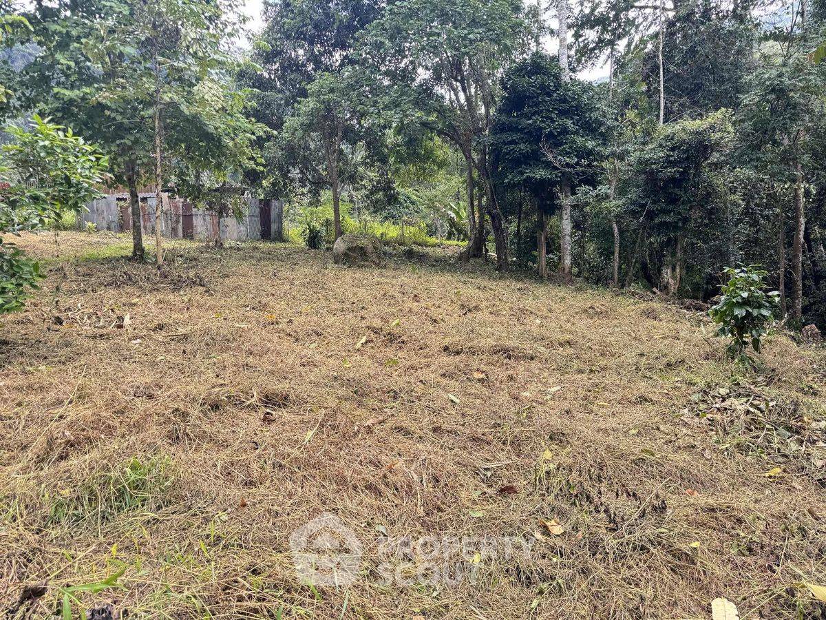 รูป ที่ดินสำหรับปล่อยขาย 1,972 ตารางเมตร แถว ใน เชิงดอย (ID 2093387) - รูปที่ 1/20