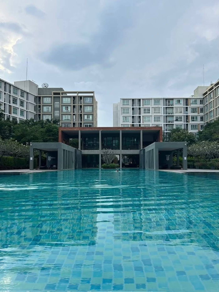 รูป ให้เช่า ดีคอนโดซายน์  ขนาด30 ตรม ชั้น8  ทำเลดีมาก  - รูปที่ 12/13