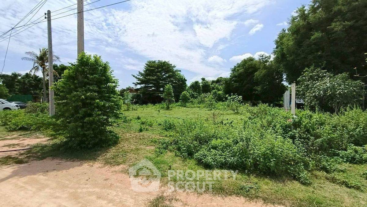 รูป ที่ดินสำหรับปล่อยขาย 3,200 ตารางเมตร แถว ใกล้ สวนอูฐชะอำ (ID 2454952) - รูปที่ 4/17