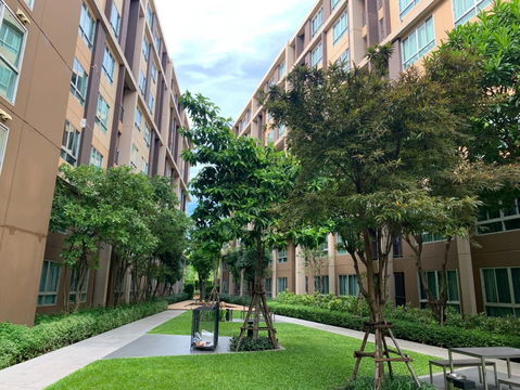 🌿 Dcondo Campus Resort Rangsit – Phase 1