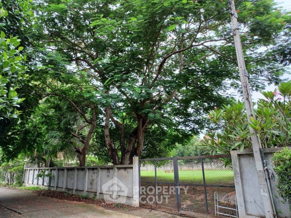 รูป ที่ดินสำหรับปล่อยขาย 1,024 ตารางเมตร แถว ใน สันผีเสื้อ (ID 2051289) - รูปที่ 4/4