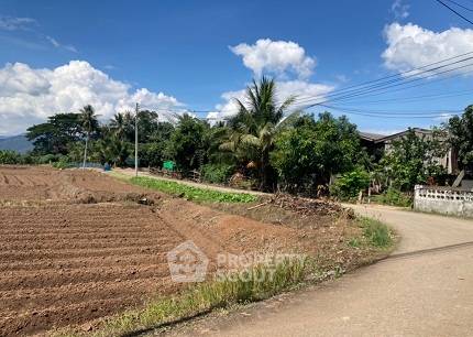 รูป ที่ดินสำหรับปล่อยขาย 29,780 ตารางเมตร แถว ใน อินทขิล (ID 1972455) - รูปที่ 5/8