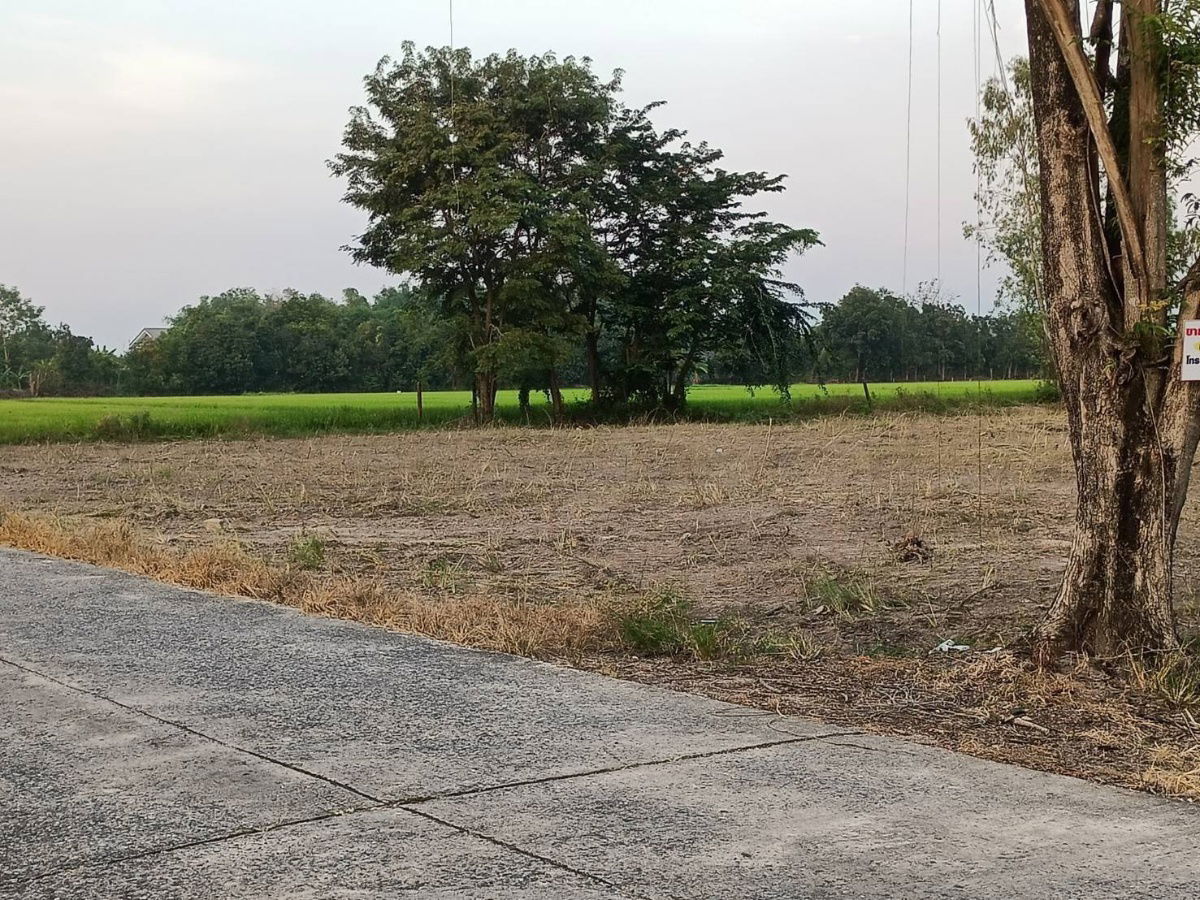picture Land for sale in Phikun Subdistrict, Ban Na, Nakhon Nayok. There are 3 lots, 1.5 million baht per rai from the municipality2 roads,water frontage, - 5/21