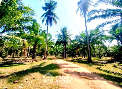 ที่ดิน ประจวบคีรีขันธ์ : ที่ดินสำหรับปล่อยขาย 25,580 ตารางเมตร แถว ใน ธงชัย (ID 1591314)