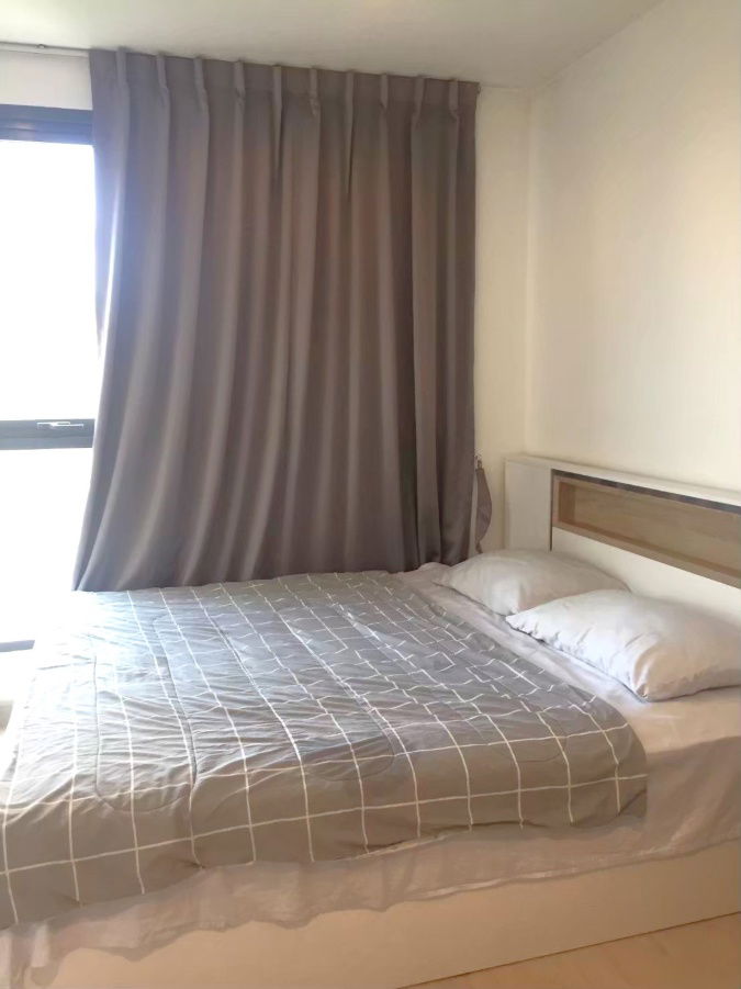 picture Ideo Mobi Sukhumvit 81 ✨RENT 13K ✨High Floor 📞 Line : @pukkhome (with @) - 2/9